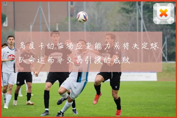乌度卡的临场应变能力或将决定球队命运而非交易引援的成败